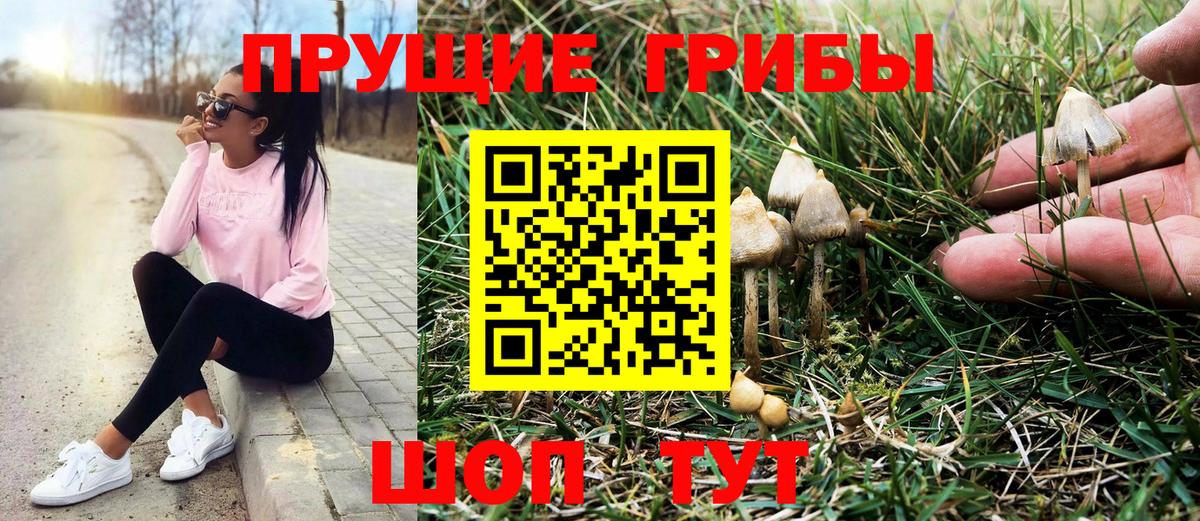 Псилоцибиновые грибы GOLDEN TEACHER Приморско-Ахтарск